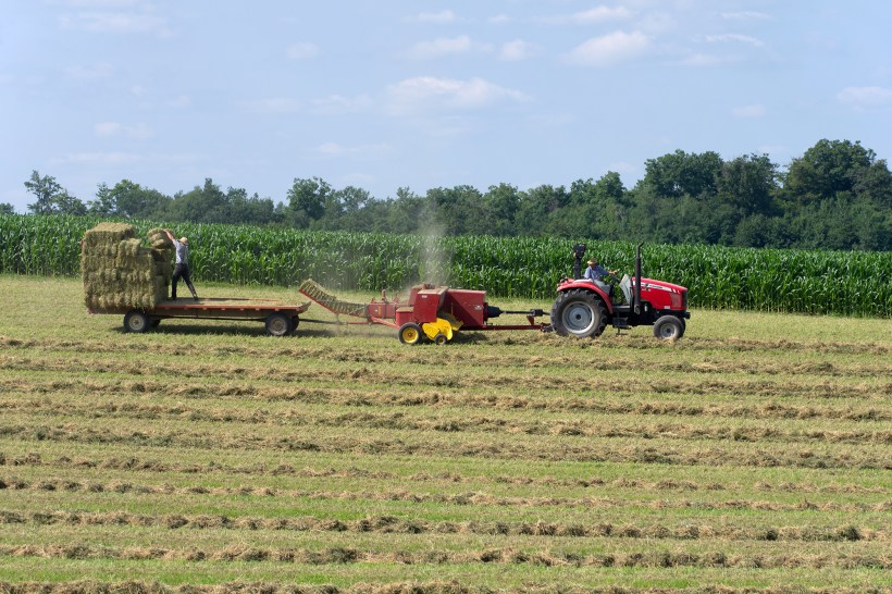 Bailing hay with tractor, baier and trailer