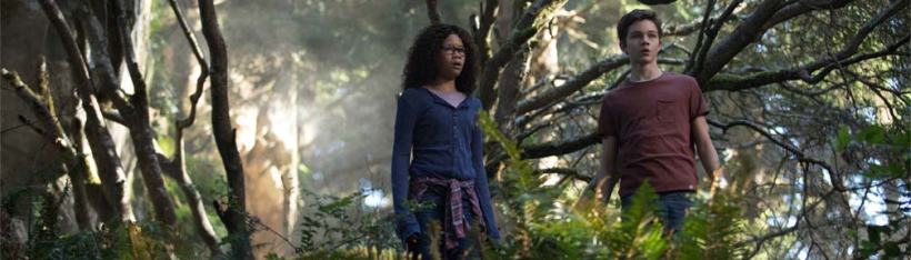 boy and girl in forest